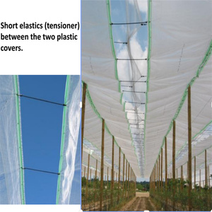 Film tissé renforcé en HDPE 150 GSM, résistant, imperméable et anti-grêle, transparent, pour couverture de serres et d'arbres fruitiers - Product Image 5