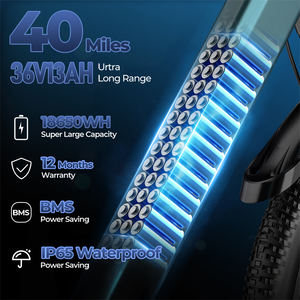 <span class=keywords><strong>Vélo</strong></span> <span class=keywords><strong>Électrique</strong></span> Urbain 26 Pouces 7 Vitesses Moteur Arrière à Assistance au Pédalage Vitesse Max 40km/h <span class=keywords><strong>Batterie</strong></span> Lithium 36V <span class=keywords><strong>Prix</strong></span> Usine Fournisseur OEM - Product Image 5