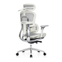 Chaise de bureau ergonomique haut de gamme avec cadre arrière en aluminium, support lombaire séparé, accoudoirs réglables 6D, mécanisme italien Donati