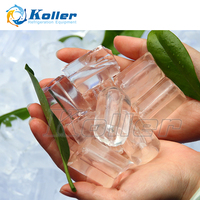 Máquina de Hielo en Tubo Comestible de Gran Capacidad Koller TV100, 10 Toneladas por Día