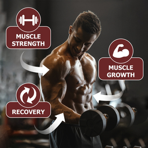 ซื้อแคปซูลครีเอทีนโมโนไฮเดรตคุณภาพสูงแบบขายส่ง พร้อมวิตามินซีเสริม ช่วยเพิ่มพลังงาน บำรุงสมองและกล้ามเนื้อ - Product Image 5