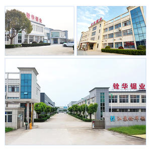 Tùy chỉnh 88mm cong cạnh cắt HCS phân đoạn đa công cụ lưỡi cưa - Product Image 5