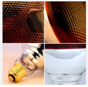 Lámpara Infrarroja para Aves de Corral Bongbada IR BAR38 <span class=keywords><strong>Millenium</strong></span> Glass, Luz Blanca Cálida IP44 para Calefacción de Pollitos - Product Image 4