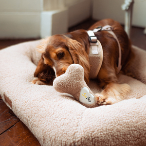SinSky Interactive Pet Jouets En Peluche Lavable Durable Doux Sécurité Morsure À Mâcher Chien Grinçant Jouets En Forme D'os Chiot Cadeaux Pet Chewers - Product Image 5