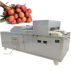 Machine à dénoyaouter les fruits multifonctionnelle haute capacité, machine à dénoyaouter les pêches, à vendre - Product Image 4