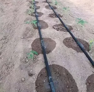 Micro système d'irrigation goutte à goutte pour l'agriculture bande d'irrigation goutte à goutte