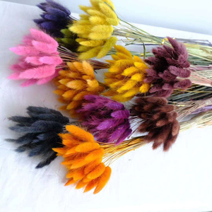 Commercio all'ingrosso naturale coda di coniglio essiccato erba Bunny code arredamento per la casa di natale san valentino pasqua bella fatta a mano - Product Image 2