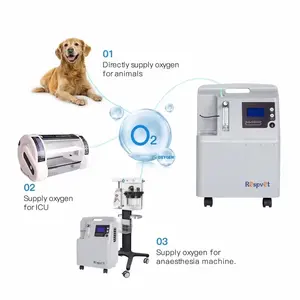 5 litros Concentrador de Oxgeno Hospital 5 liters Oxygen Generator Pet hospital oxygen supply