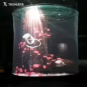 Hologram laser chiếu Hologram công nghệ 3D Holographic hiển thị ba chiều lưới chiếu - Product Image 5