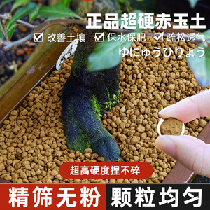Substrat Akadama Cpai 74L de haute qualité pour plantes et aménagement paysager - Product Image 2