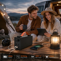 Station d'alimentation portable numérique 228Wh légère, à technologie de batterie basse température, sécurisée, -40°C ° Camping en hiver par temps froid