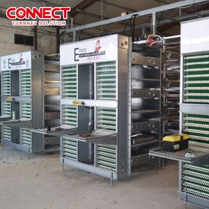 Multi niveles Pondeuse <span class=keywords><strong>Gallo</strong></span> Gallinas Granja Poniendo huevos Equipo de aves de corral Conjunto Sistema de jaula de batería para jaulas de pollos de granja de capas - Product Image 4