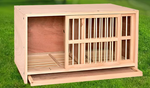 Nido in Legno Ecologico per l'Allevamento di Piccioni Viaggiatori e da Gara - Product Image 5