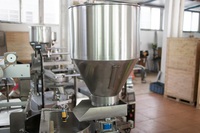 Machine d'emballage de poudre à faible coût, machine automatique de remplissage et d'emballage de poudre à lessive