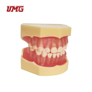 อุปกรณ์ช่วยสอนฟันปลอมแบบถอดได้สำหรับเด็ก รุ่น Um-7009 - Product Image 3
