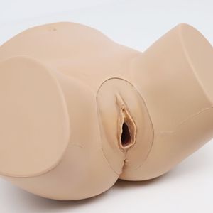 Modello Chirurgico per Episiotomia e Sutura, Risorse Didattiche Mediche, Pratica Chirurgica per Ospedali e Scuole Mediche - Product Image 2