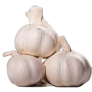 alho fresco Factory Pure White Fresh Garlic Price/ bulk garlic for sale/ garlic from China