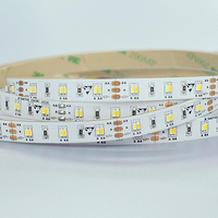 Nouveauté : Bande LED CCT réglable 3014, blanc ajustable 2000K-6500K, 12V 24V 240LED/m, éclairage intérieur