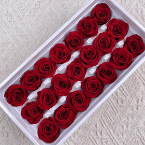 Fabricant américain et chinois de fleurs naturelles préservées, <span class=keywords><strong>rose</strong></span> éternelle, <span class=keywords><strong>rose</strong></span> longue durée, décoration d'intérieur, style antique, à bon <span class=keywords><strong>prix</strong></span> - Product Image 1