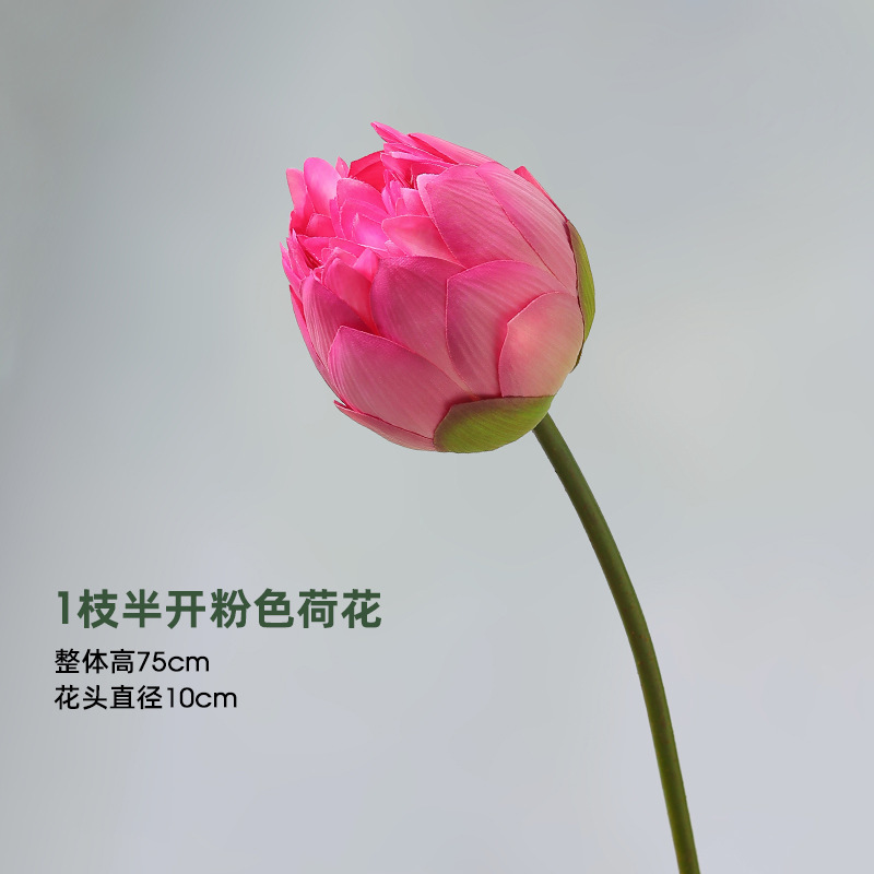 Lotus - 1 bouton rose à moitié ouvert