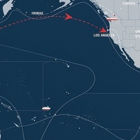 Service de Fret Maritime LCL de Shenzhen à Durban DDP DDU Consolidation d'Entrepôt FBA Fret Étiqueté