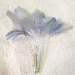 Bán buôn <span class=keywords><strong>Stripped</strong></span> Coque dậu tail feather cho trang trí - Product Image 2