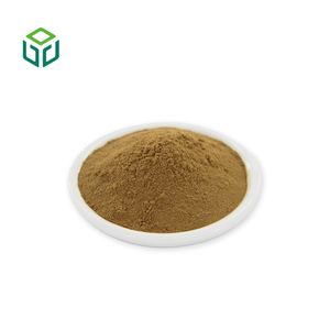 高品質食品グレードハーブエキス チコリ根エキス チコリエキス粉末（ISO＆HACCP認証取得済） - Product Image 2