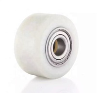 Roulettes de nivellement S-S roulettes de nivellement en acier inoxydable avec semelle en Nylon