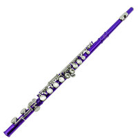 Woodwind Instruments 16 Hole C Flute Wind Instrument
