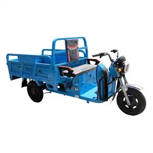 Cargo di caricamento E-triciclo India elettrico adulto triciclo cina