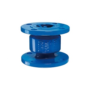 Van Kiểm Tra Không Ồn PN16 Van Kiểm Tra Bằng Thép Không Gỉ - Product Image 3