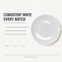 Assiettes en Porcelaine Fine Blanche en Gros – 6, 7, 8, 10 Pouces – Vaisselle de Luxe en Céramique pour Restaurants