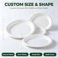 Plateau alimentaire jetable moderne et minimaliste en pulpe de canne à sucre, assiette biodégradable épaissie, compatible micro-ondes, pour salades et repas légers
