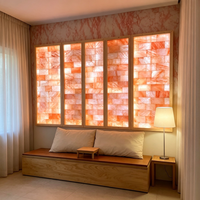 Panneau mural en sel rose de l'Himalaya 100% naturel, carreau de sel pour thérapie par inhalation, pour sauna, spa, décoration intérieure