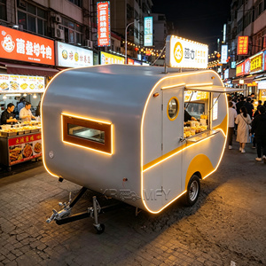 Fast Fiberglass Pizza Truck Fully Equipped Smoothie Kitchen Trailer Stylish Fried Chicken Food Cart for Candy & Chips - Product Image 4