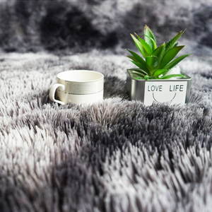Mềm Dài Đống Xù Xì Phòng Khách Thảm Thảm Sàn Khu Vực Thảm Alfombra Tapete Fluffy Thảm - Product Image 5