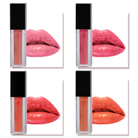 Fabricant de gloss à lèvres OEM ODM Corée - Vente chaude - 49 couleurs - Gloss à lèvres à label privé - Mat - Imperméable - Longue tenue - Maquillage pour les lèvres