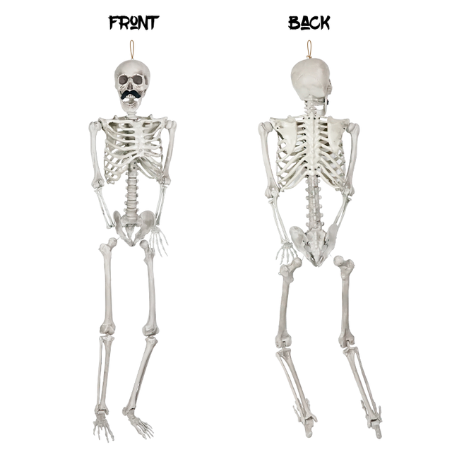 Anatomy  Full Size Corpse Human Life Size Full Size Halloween Skeleton With Speakers