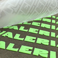 Patchs thermocollants en vinyle HTV avec logo personnalisé en relief 3D, patchs en silicone à repasser, lettres thermocollantes, étiquettes pour vêtements