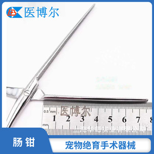 Stainless steel 23cm and 18cm intestinal clamps, dog <b>cleaning</b> and grooming <b>tools</b>. - Product Image 3