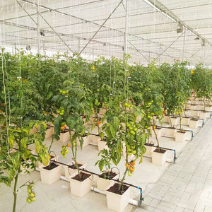 Lyine Juego completo Dwc Cubo holandés Sistema de cultivo hidropónico Macetas de 1/4 agujeros Cubo holandés para tomates <span class=keywords><strong>cherry</strong></span> - Product Image 1