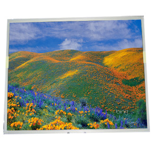 Panel LCD Transmisivo LM170E03-TLH4 de 17.0 Pulgadas, Pantalla LCD de 1280*1024 - Product Image 1