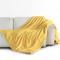 2022 100% Polyester polaire jeter couverture bonne qualité flanelle hiver lit couvertures solide Simple tissé Techniques en gros
