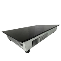 Kompor induksi pembakar ganda Hob kompor induksi bawaan harga baik kompor induksi 3200W