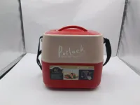 Ensemble de boîtes isothermes portables 3,6 L pour pique-nique, avec bol en acier inoxydable, pour le camping et la conservation de la fraîcheur en extérieur