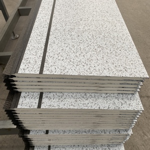 Panneaux de bardage métalliques, mur extérieur, panneau sandwich en EPS, PU, polyuréthane - Product Image 5