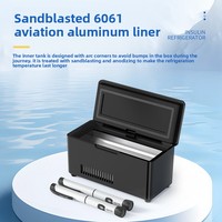 Boîte de réfrigération pour insuline 5L, mini-réfrigérateur portable à température constante à semi-conducteurs, refroidisseur monté sur voiture, rechargeable