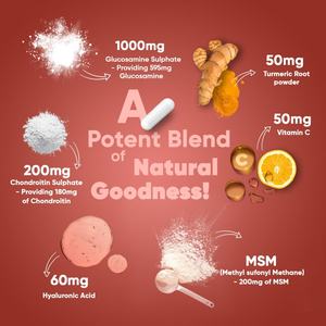 Capsules quotidiennes de glucosamine, chondroïtine et MSM, 180 capsules, soutient la santé des nerfs, des muscles et des os, complément alimentaire pour adultes - Product Image 4