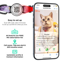 Collier intelligent pour chat avec boucle de sécurité détachable, personnalisable et ajustable, anti-perte, avec étiquette nominative, compatible avec le logiciel de suivi des animaux de compagnie