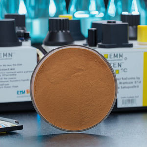 Flammulina Velutiper เข็มทองคำเห็ด <span class=keywords><strong>Enoki</strong></span> ผงสารสกัดจากเห็ด - Product Image 1